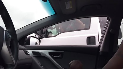 میوه های خشک و آجیل, دسته بندی ها گی, , انجمن سکسی ترین کسها