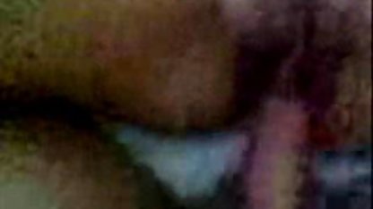 به درستی نوازش یک عضو با کس اچ دی پر و بال, دسته بندی